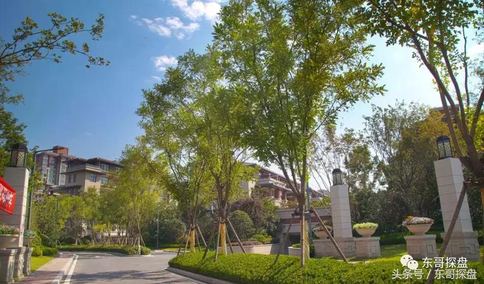 最后一栋瞰湖小高层,瞰湖小高层