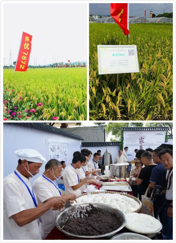 彩色米、年糕米、寿司米……291个品种亮相，稻米也可量身定制！