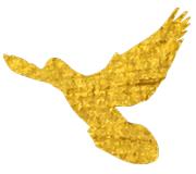 亚残运会中国代表队入场,亚残运会中国代表团入场完整版