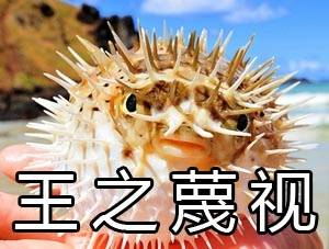 顶级设计师ppt教程,ppt设计干货