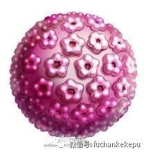 宫颈癌疾病的相关知识和预防,宫颈癌的成因及治疗