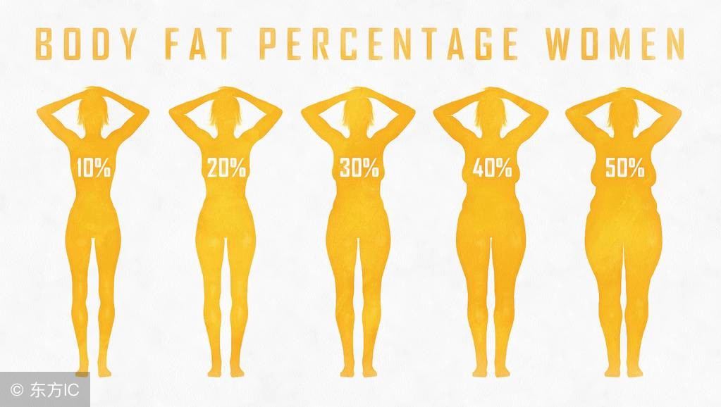 你的基础代谢率和bmi值多少,身体指数表格