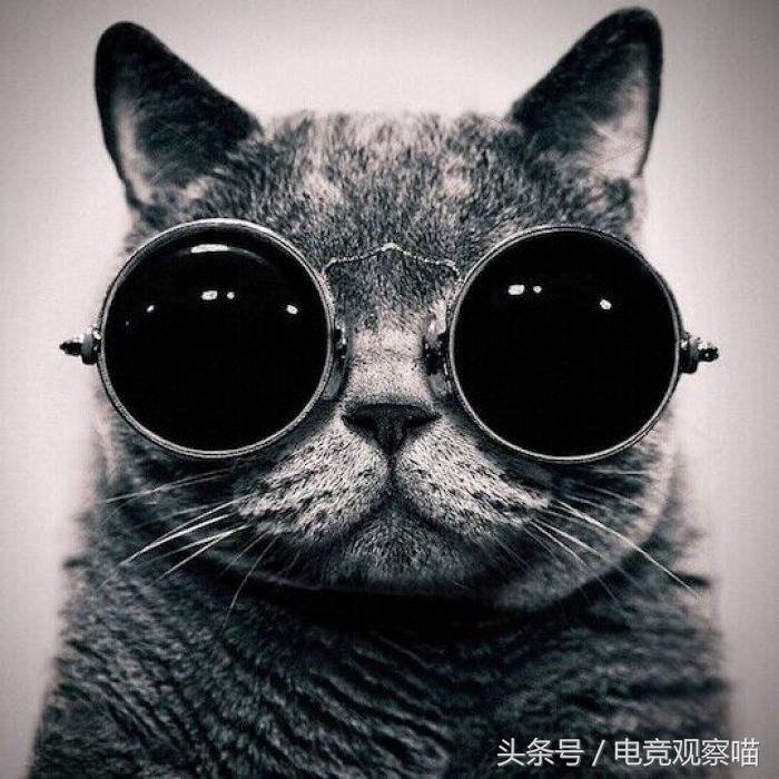 s8最新更新后阵容,s8世界赛版本解析