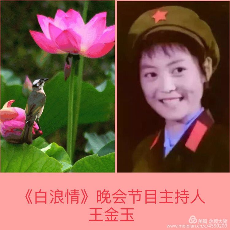 《白浪情丰收节、中秋节、国庆节休闲晚会》优秀作品选登