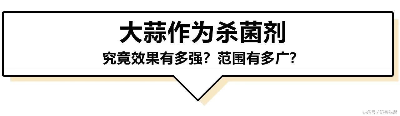 大蒜片一天吃多少最好,大蒜的保健吃法和注意点