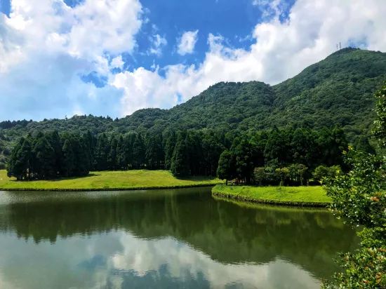玉林旅游攻略四天三晚,玉林旅游最佳攻略一日游