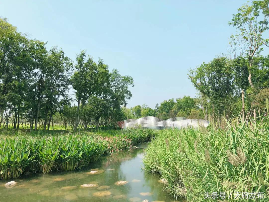 天府新区国庆哪里玩,国庆假期游玩攻略成都天府新区