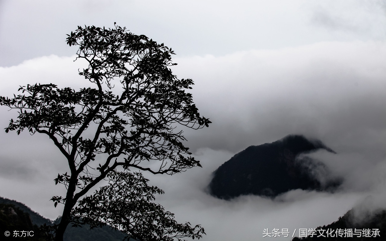 中华新韵十四韵讲解说明,中华新韵用十八韵好还是十四韵好