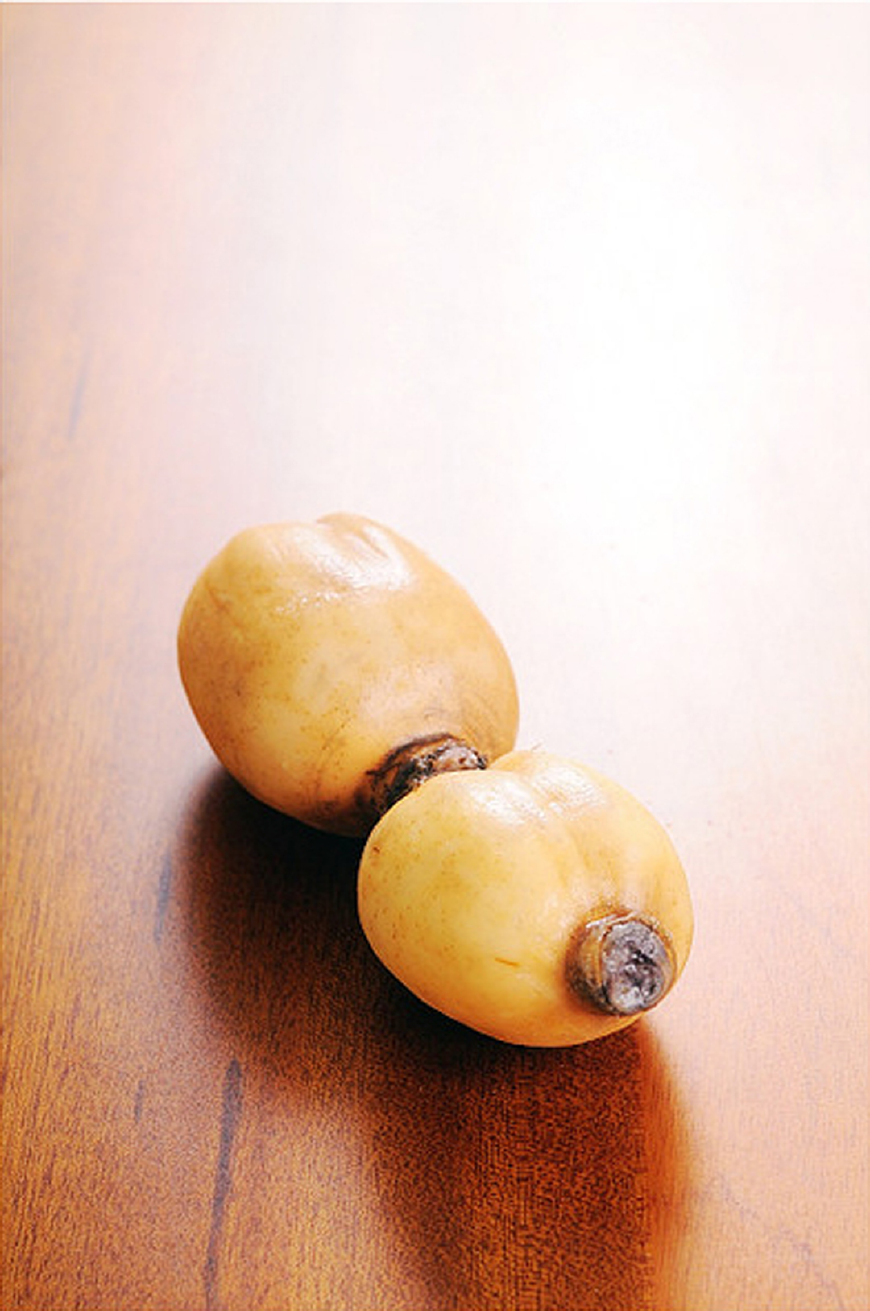 秋天莲藕实惠鲜美教你特色做法,秋天莲藕和什么东西煲汤最好