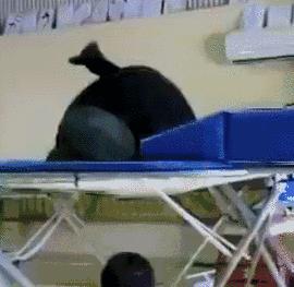 倪妮惊艳抓拍图,倪妮最好看的拍照