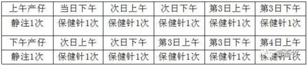 母猪的分娩与接产操作方案,母猪生产与分娩计划表