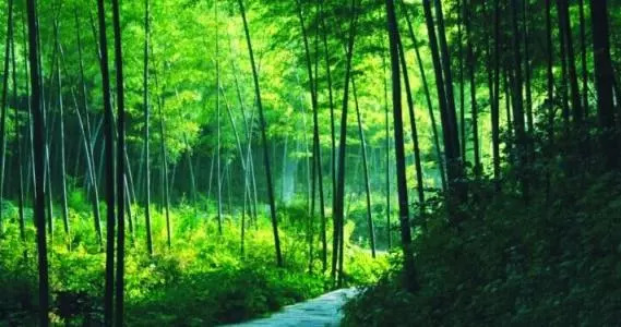 婀栧寳鍑嗗寤哄叏鍥芥渶澶х殑鍐涚敤鏈哄満,婀栧寳鏈哄満瑙勫垝2015-2030