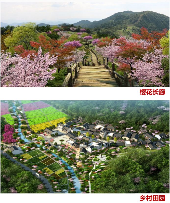 婀栧寳鍑嗗寤哄叏鍥芥渶澶х殑鍐涚敤鏈哄満,婀栧寳鏈哄満瑙勫垝2015-2030