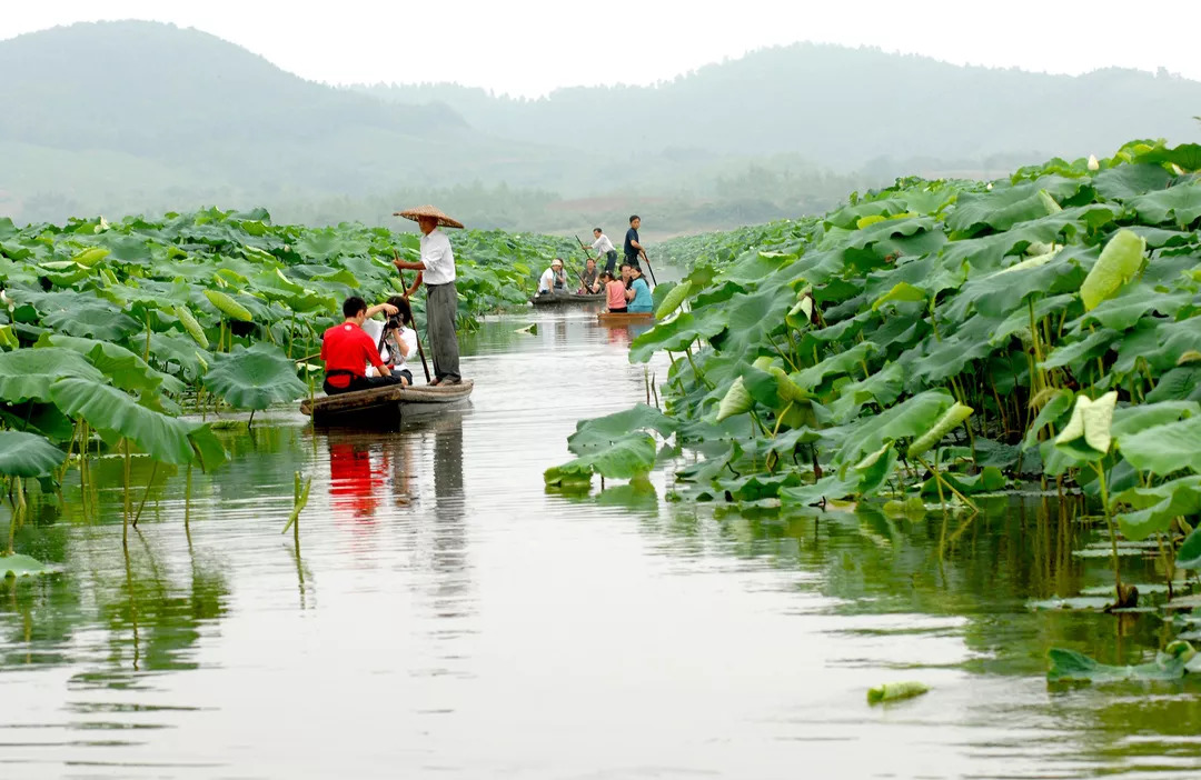 婀栧寳鍑嗗寤哄叏鍥芥渶澶х殑鍐涚敤鏈哄満,婀栧寳鏈哄満瑙勫垝2015-2030