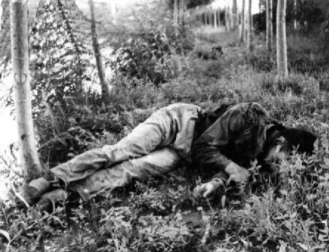 35年前,数万军警历时7个月围歼悍匪二王,引发“83年严打”