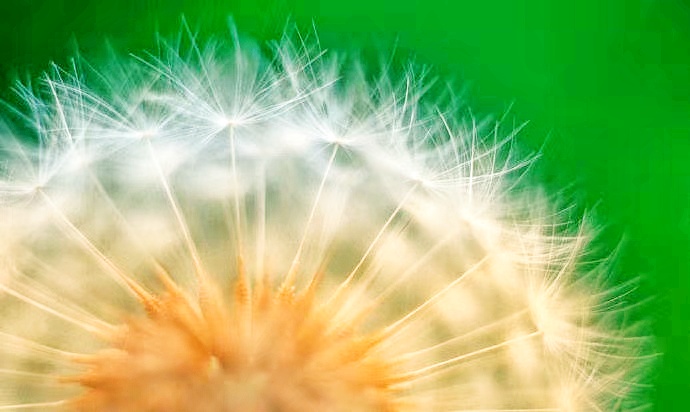 摄影技巧大揭秘如何拍出绝美照片,提高照片质感掌握这9个摄影技巧