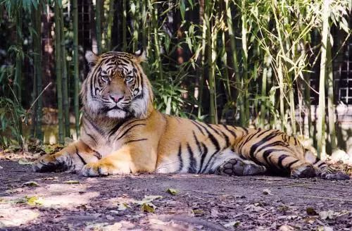 周末带娃好去处儿童运动馆朋友圈,假期带孩子户外运动好去处