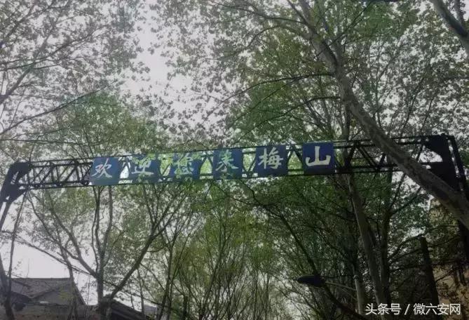 南京梅山属于上海吗,南京的梅山在什么位置