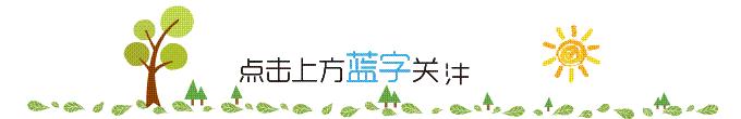 大荔中小学运动会开幕式,大荔县2016年第十四届运动会