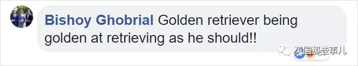 大金毛趴在门口,大金毛睡觉