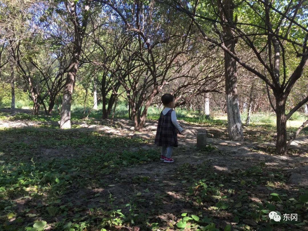 给自己一个再创业的理由,致创业路上的自己