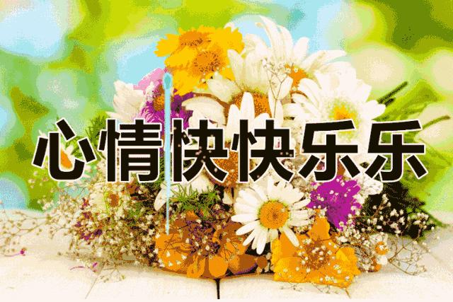 会动的美丽的图片,会动的照片绝美