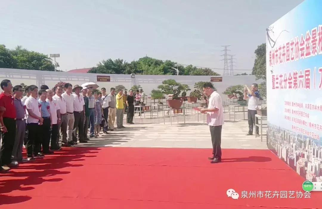 喜迎国庆展风采,迎国庆鲜花展美图