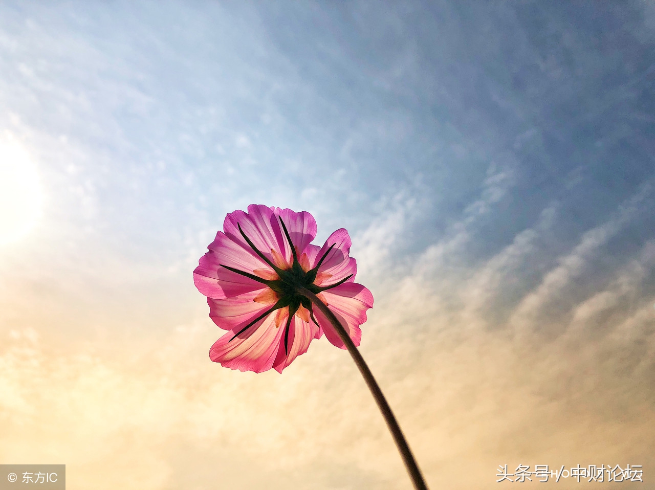 绉嬮娓╂煍娓呮柊,绉嬮娓呭喎