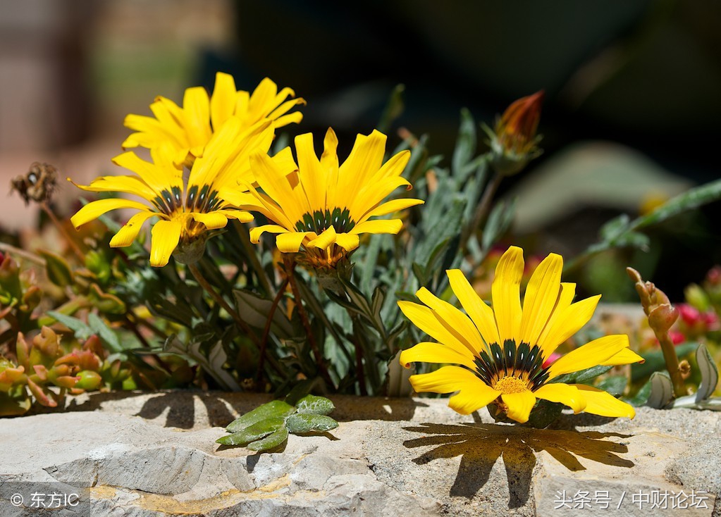 绉嬮娓╂煍娓呮柊,绉嬮娓呭喎