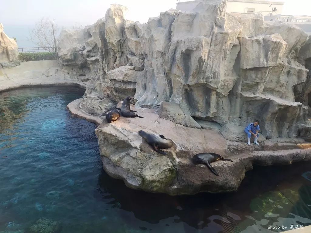 乘高铁游香港快捷又方便,坐高铁怎么样去珠海长隆海洋乐园