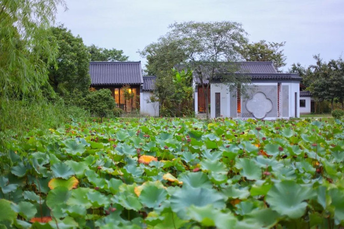 江南旅游注意事项及出行指南,旅游江南水乡