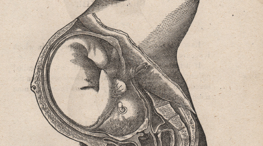 医生多少周可以确认预产期,怎么才能知道预产期