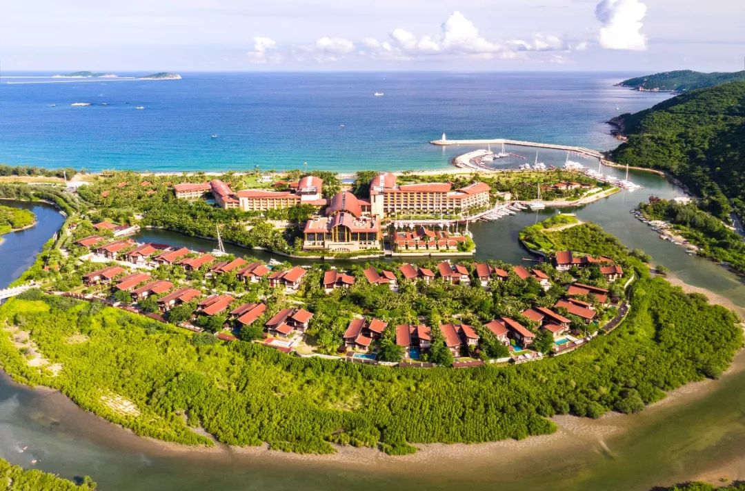 1200㎡透明泳池小红书点赞100w+,这家黄金海岸边的酒店才是海岛季首选