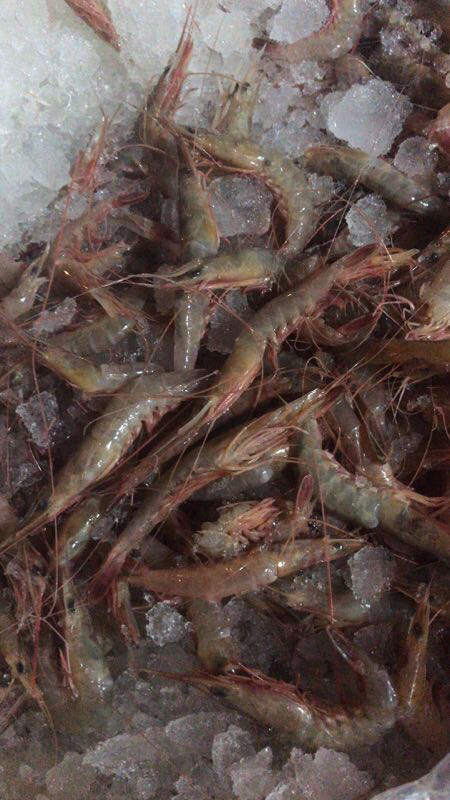 舟山旅游攻略买海鲜,舟山适合游客的海鲜市场