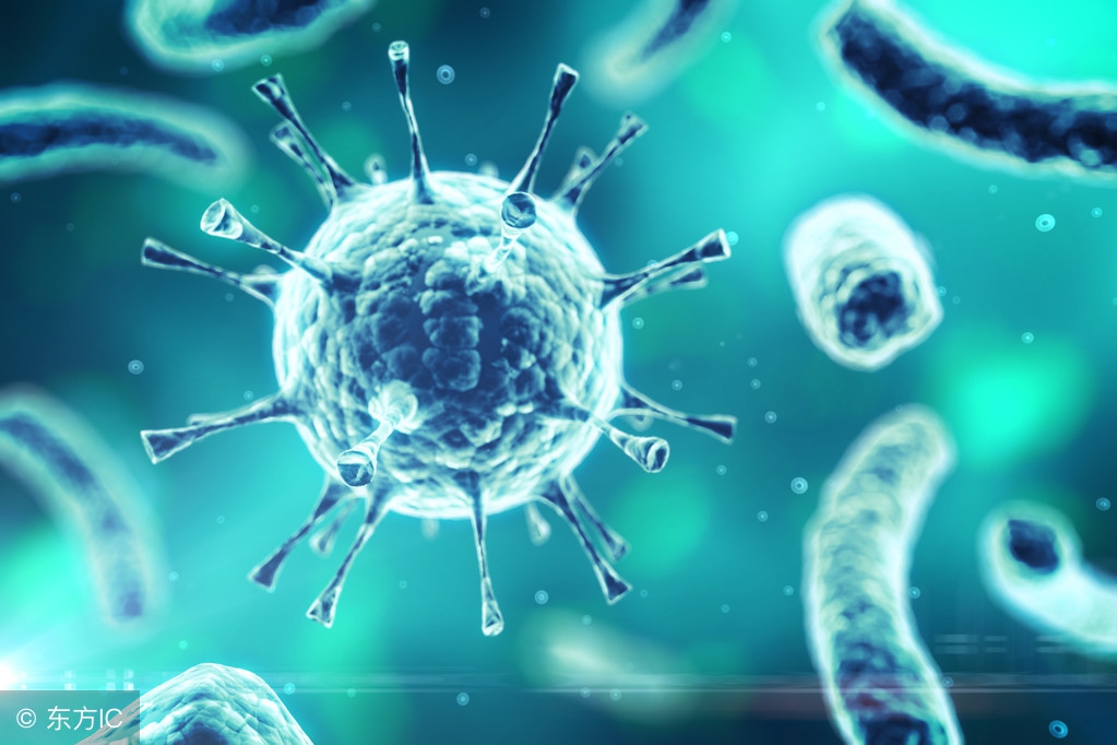 支原体感染需要做哪方面的检查