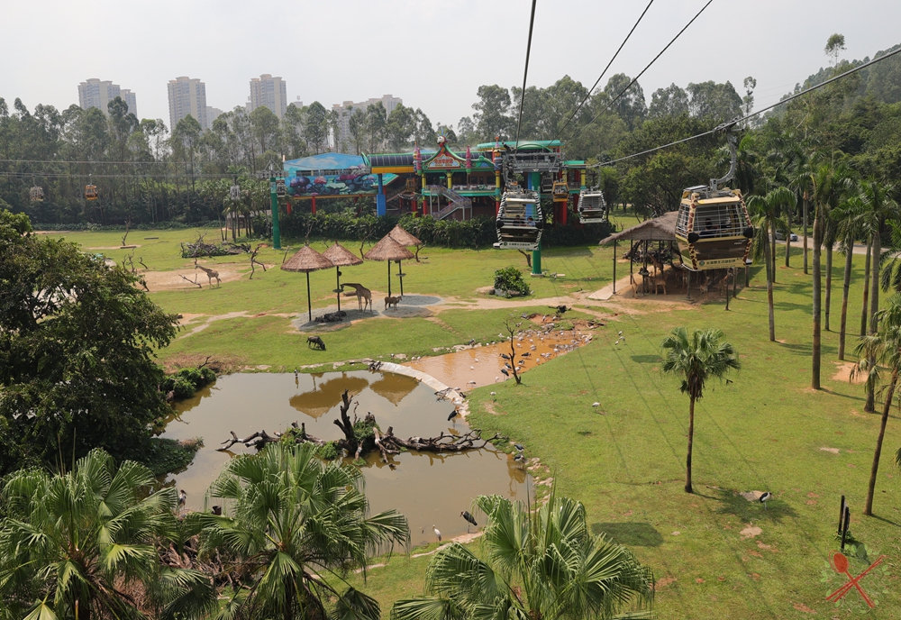 广州长隆4大乐园几天可以耍完,广州长隆野生动物世界国庆门票