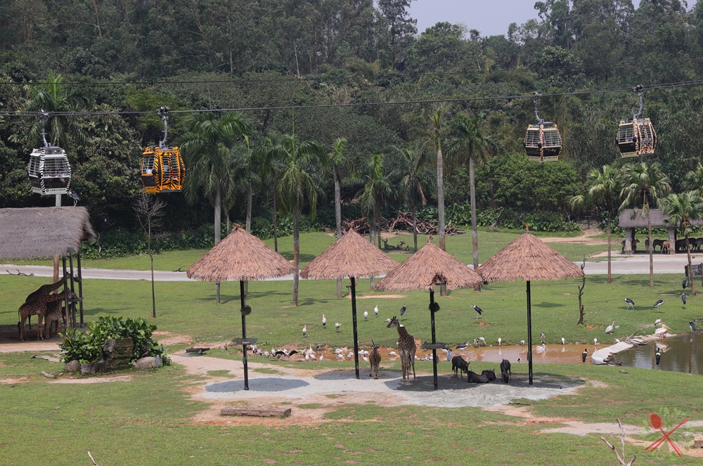 广州长隆四个乐园攻略,国庆长隆二日游