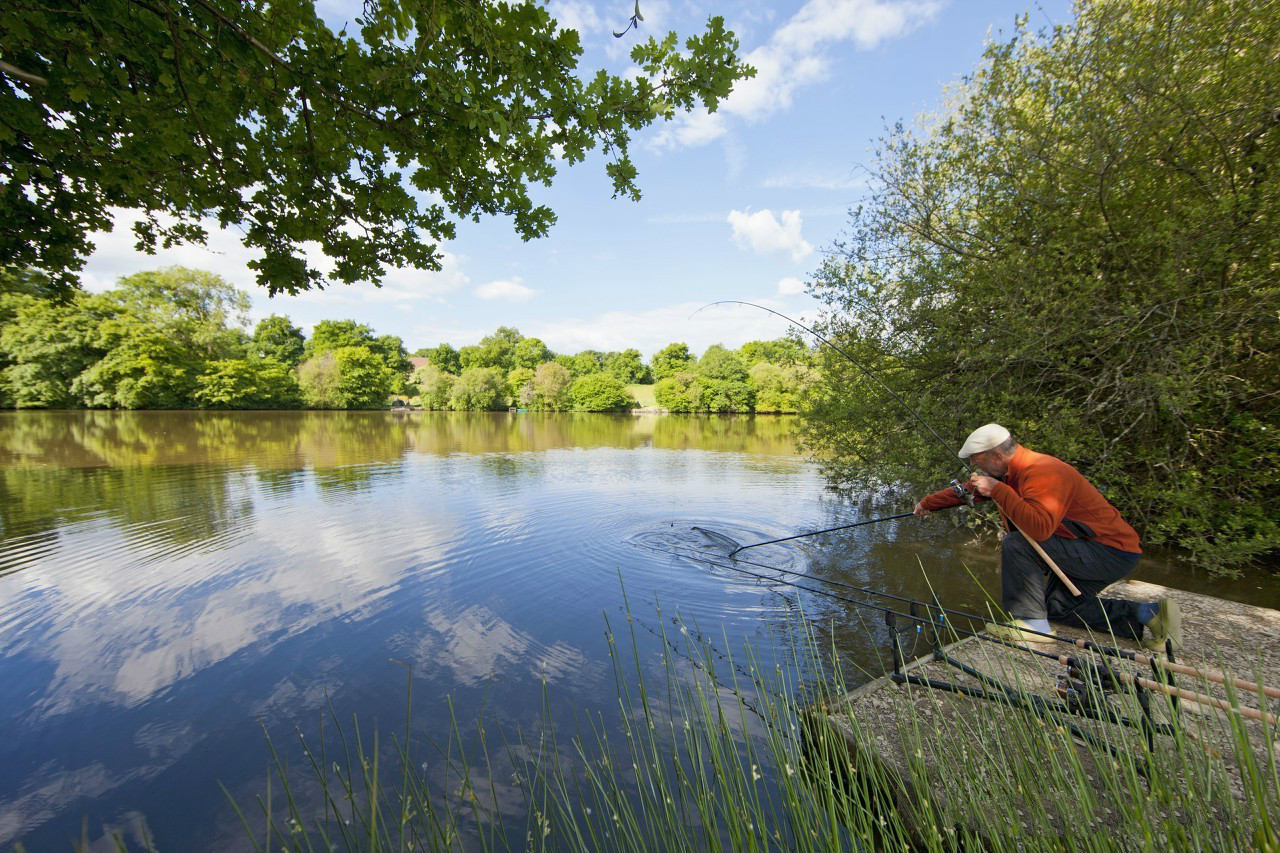用麦子来钓鱼，效果不逊于“素饵之王”
