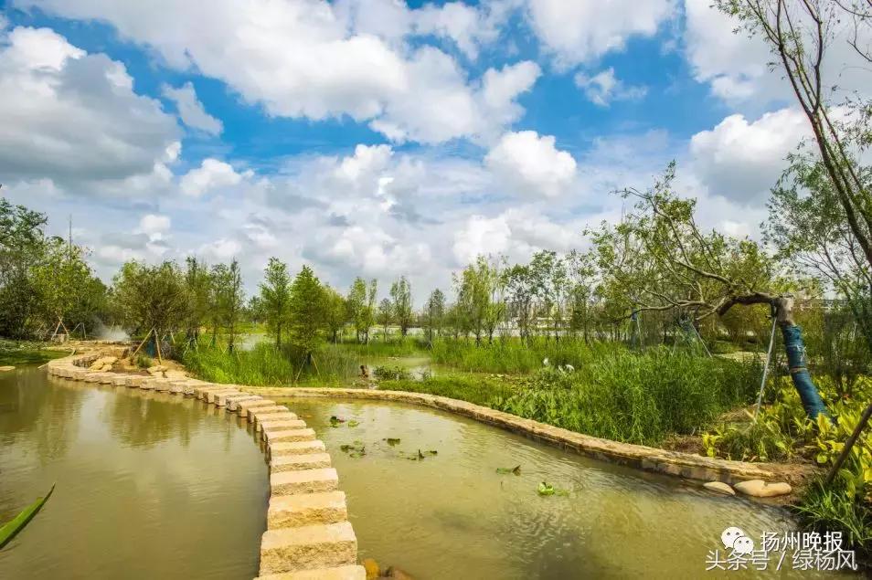 国庆扬州旅游景点推荐,扬州值得去看的景点推荐