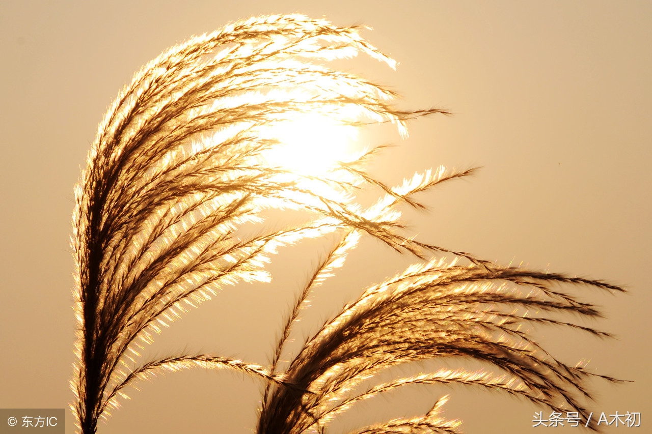 蒙学读物哪本好,第一部蒙学读物