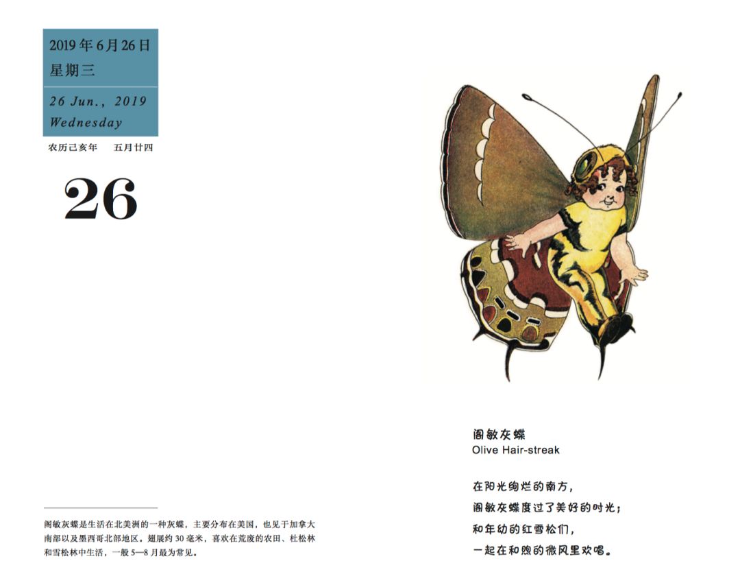 金猪年有多少天,金猪年多少年一遇