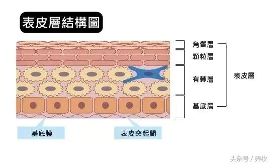 玻尿酸正品和水货的区别,市面上的玻尿酸有多少是假的