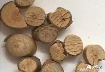 40味中药名称,50味中草药功效