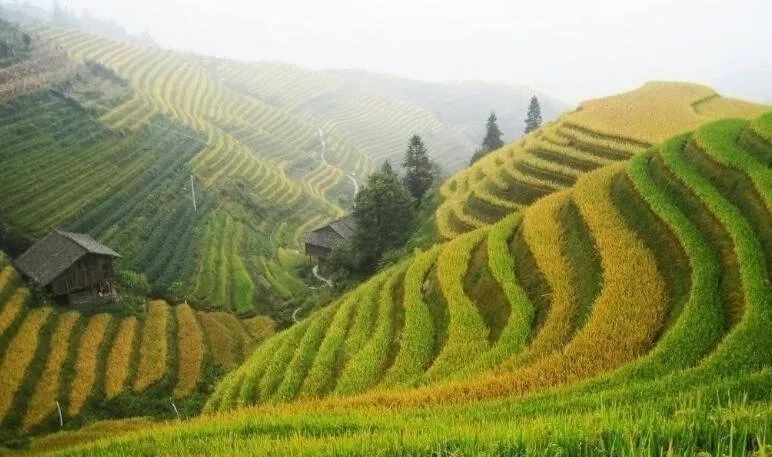 古驿道南粤古驿道,南粤古驿道旅游景点