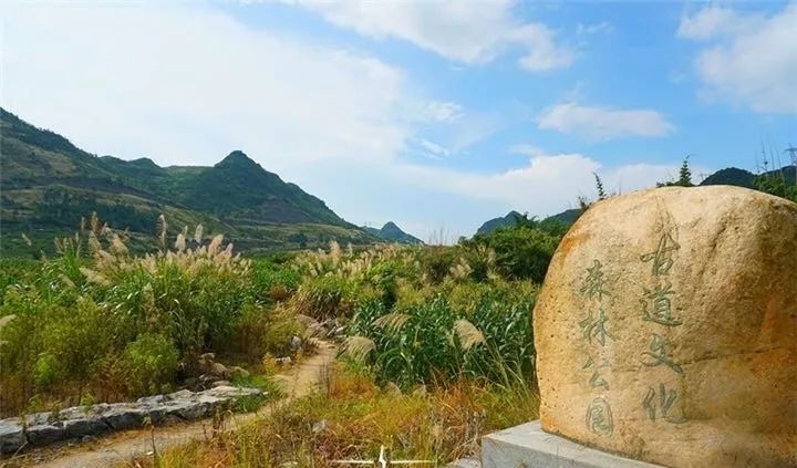 古驿道南粤古驿道,南粤古驿道旅游景点