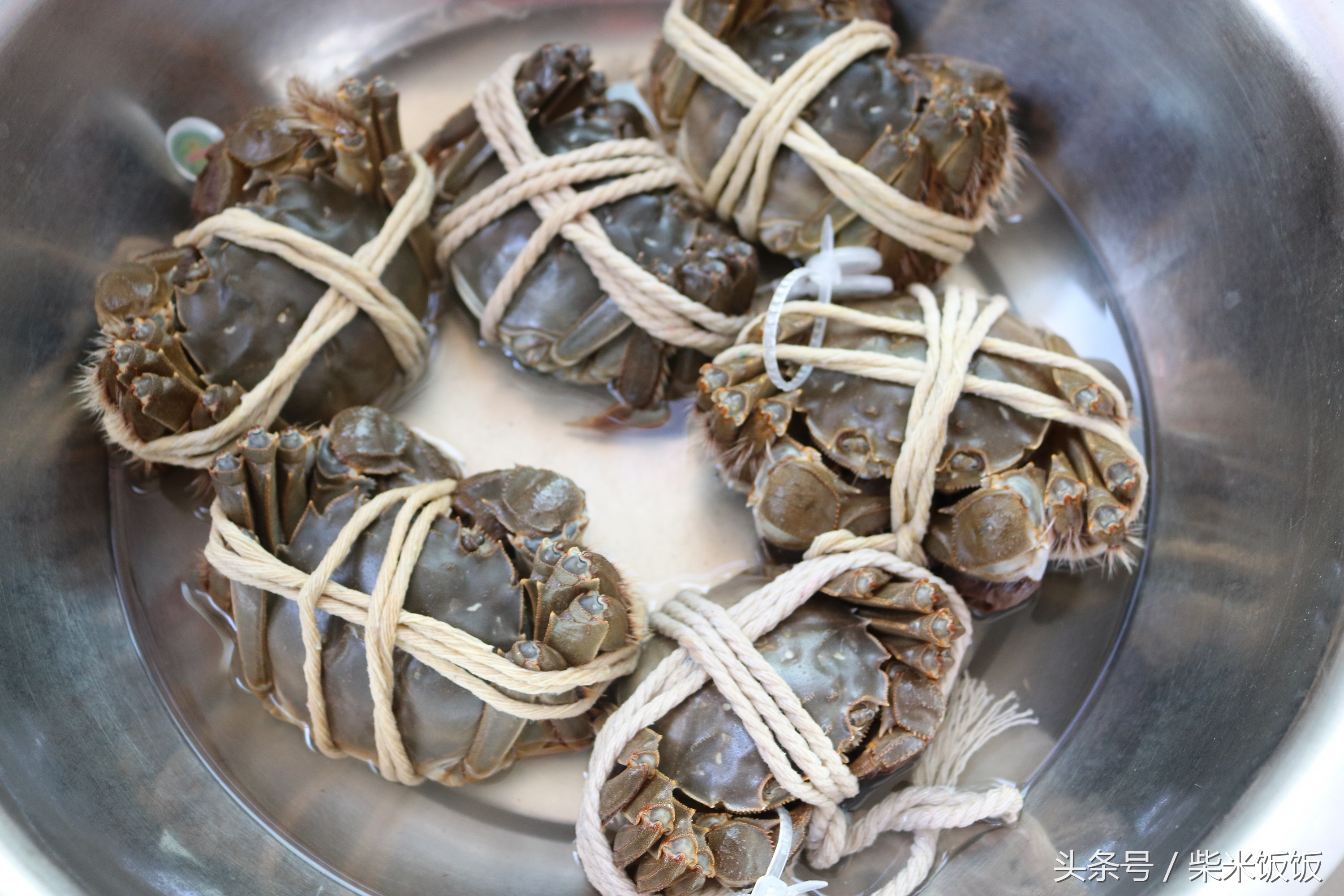 大闸蟹怎么清洗蒸才好吃,大闸蟹不洗可以直接蒸吗