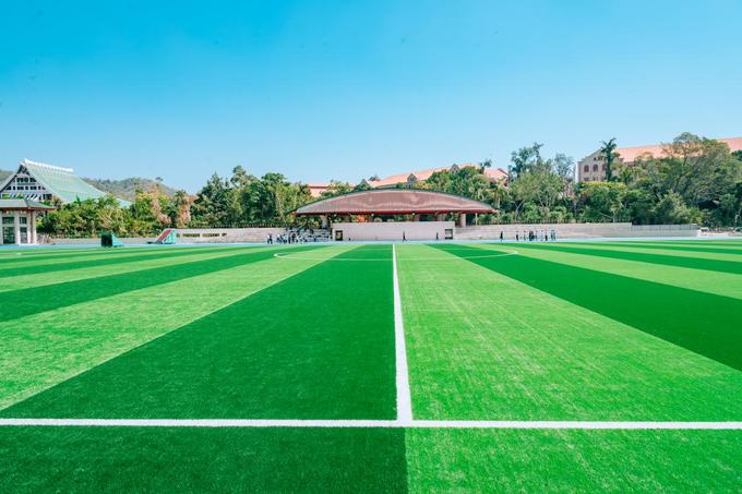 厦门大学打卡照怎么拍好看,厦门大学怎么拍照转场