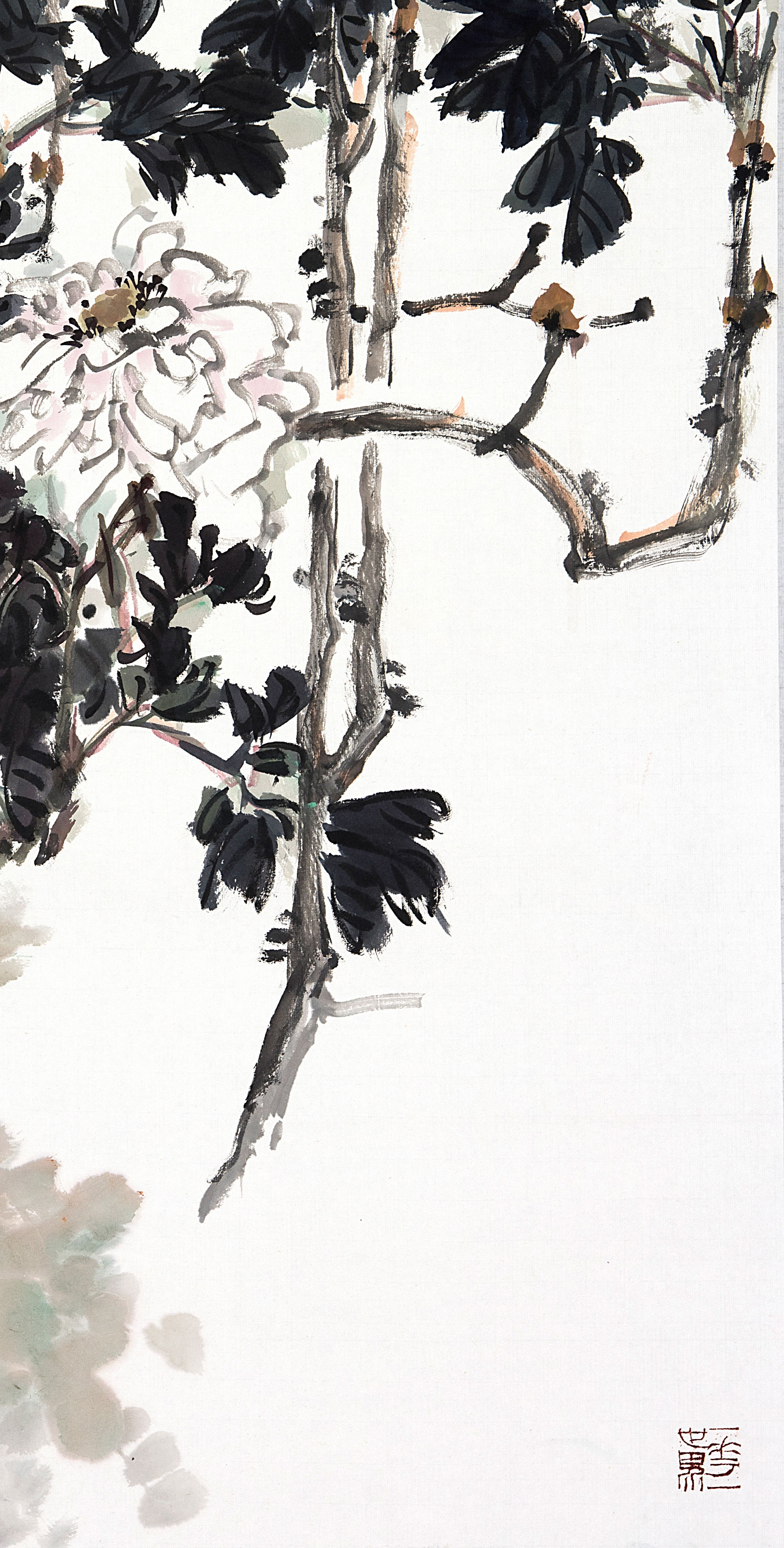 有画说｜赏传统写意花鸟《一枝红艳露凝香》，闲聊唐宫贵妃秘史