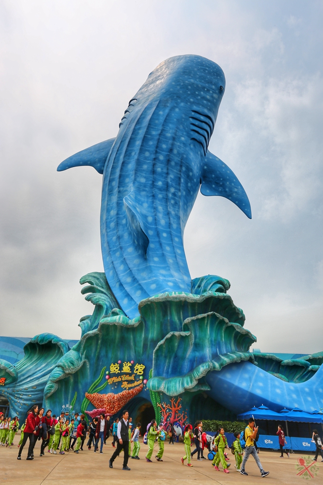 珠海长隆海洋王国企鹅馆北极熊馆,珠海长隆企鹅海洋王国攻略