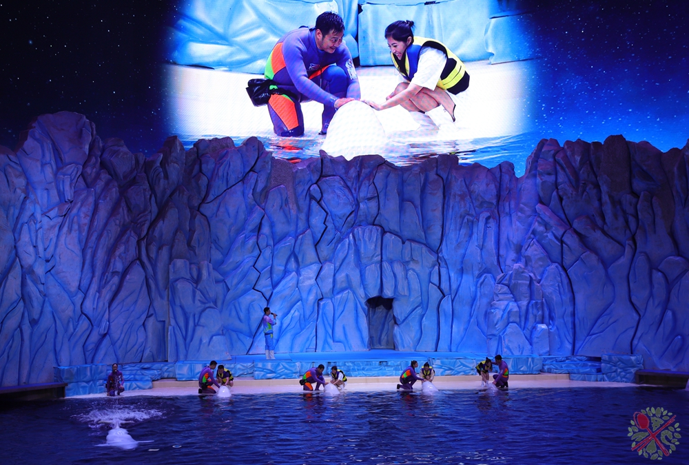 珠海长隆海洋王国企鹅馆北极熊馆,珠海长隆企鹅海洋王国攻略